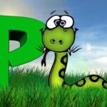 Python 3 from Beginner to Expert – Learn Python from Scratch